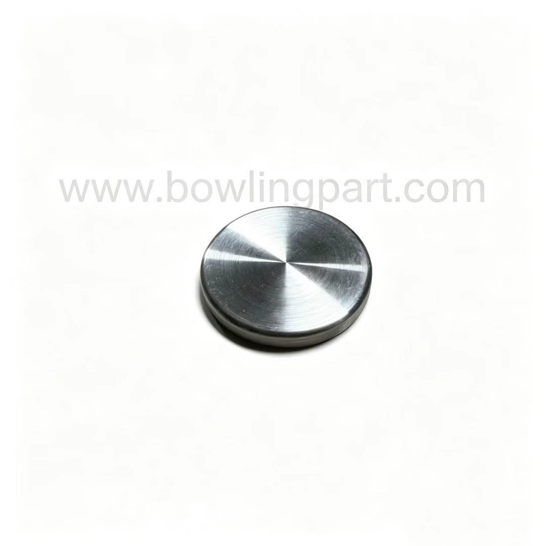 EXPANSION PLUG